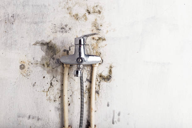 Best Water Damage Restoration  in Glendale, OH