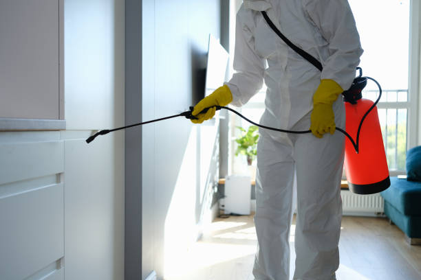 Mold Testing and Removal in Glendale, OH